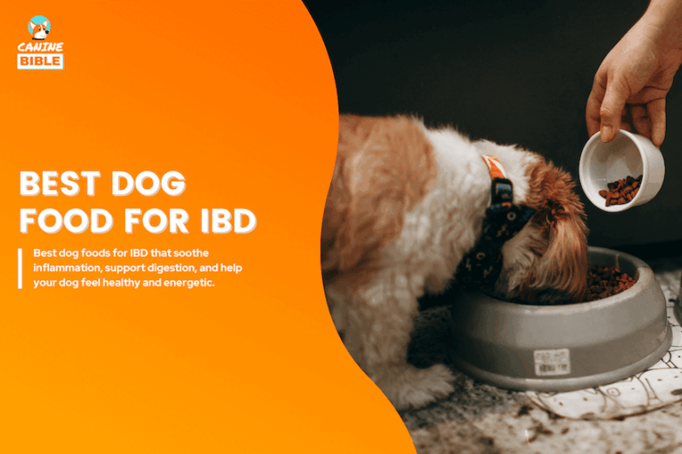 best dog foods for IBD