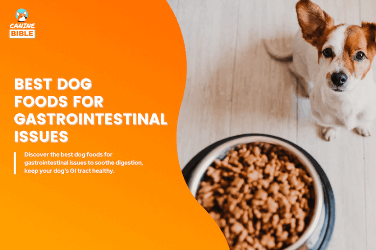best dog foods for gastrointestinal issues