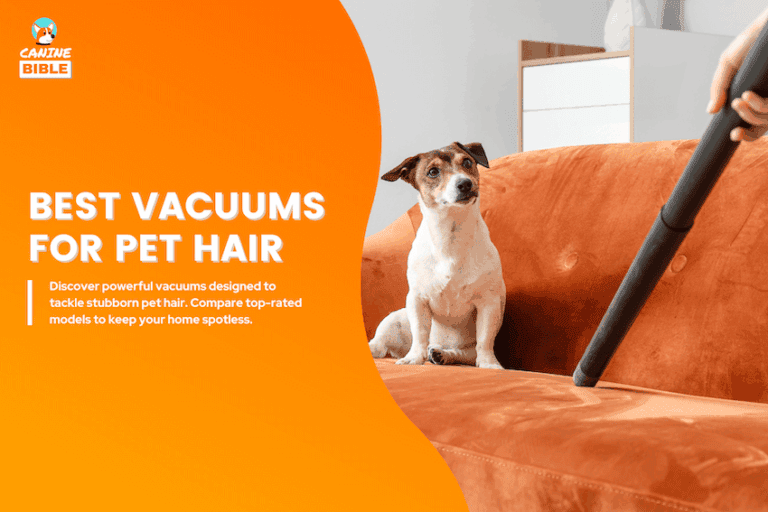 best vacuums for pet hair