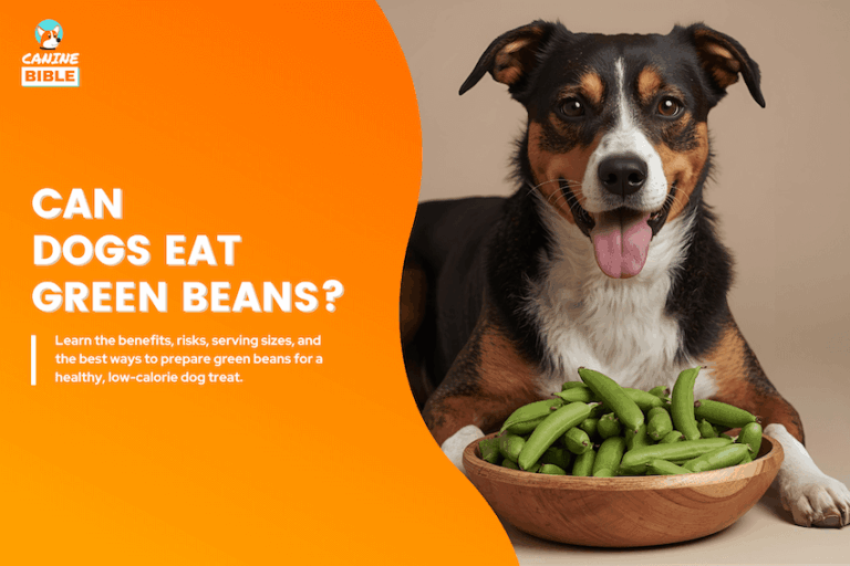 can dogs eat green beans