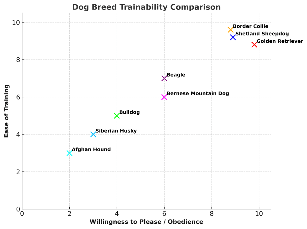 shetland sheepdog trainability chart