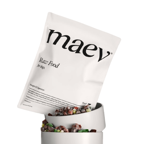 Maev Raw Dog Food Zucchini