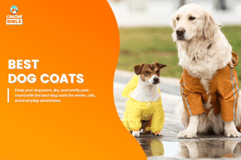 The 19 Best Dog Coats in 2025: Reviewed & Tested