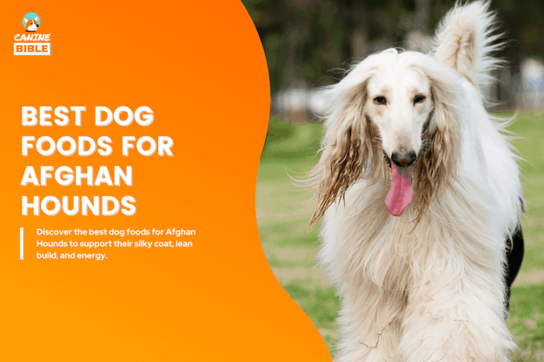best dog foods for afghan hounds