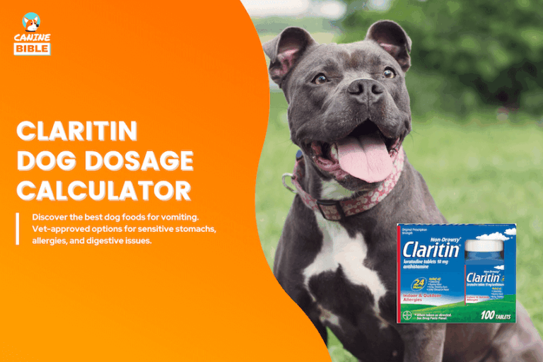 Claritin dog dosage calculator