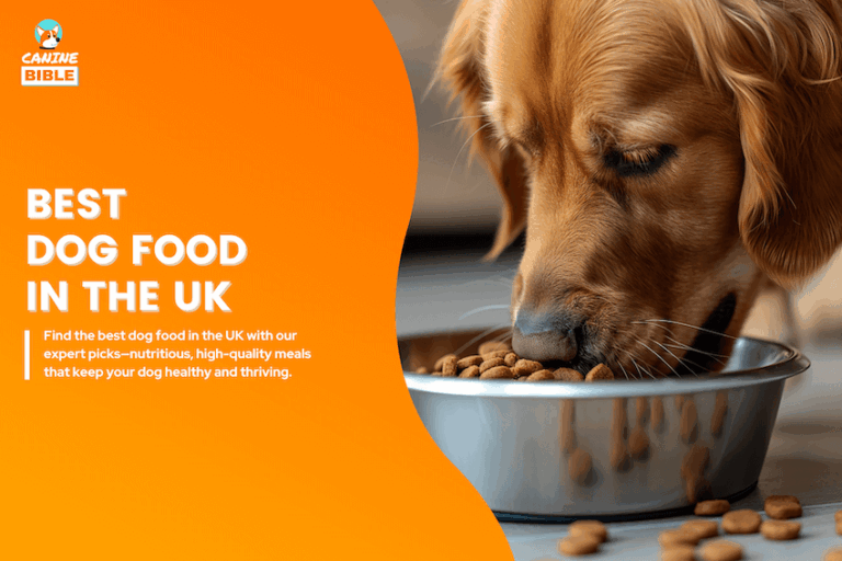 best dog food UK
