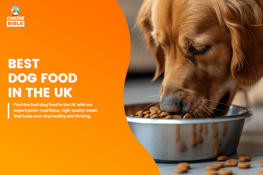 best dog food UK