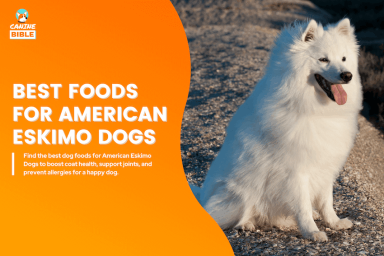 10 Best Dog Foods for American Eskimo Dogs: Vet-Approved