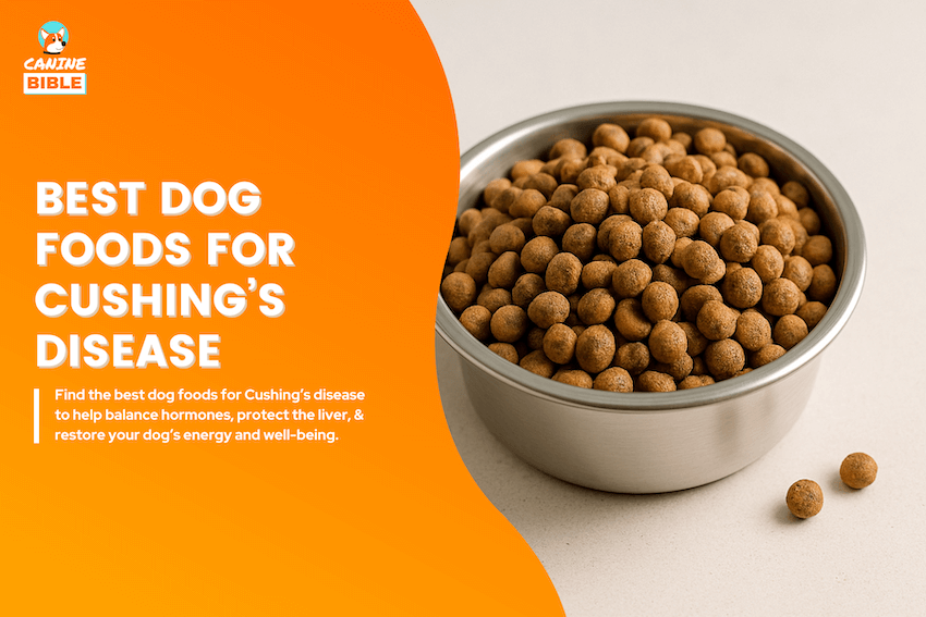 best dog foods for Cushing’s Disease