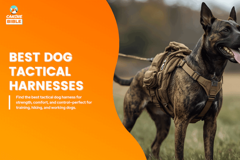 best dog tactical harnesses