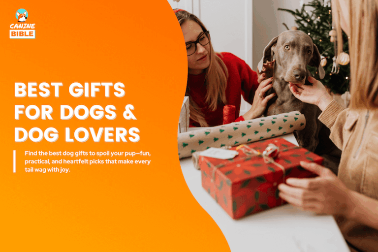 best gifts for dogs
