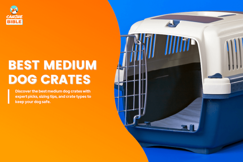best medium dog crates