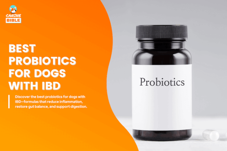 best probiotics for dogs with IBD