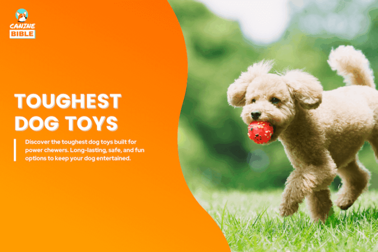 toughest dog toys