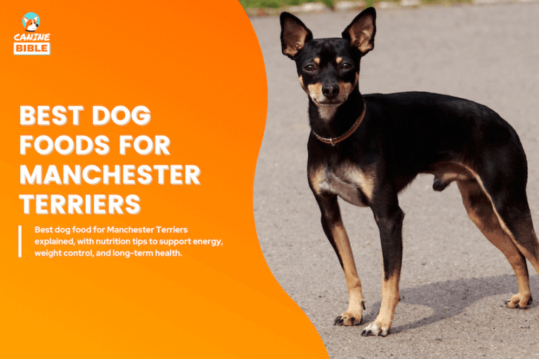Best dog Foods for Manchester Terriers