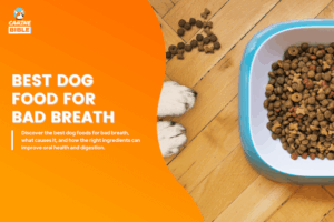 Beautiful view of Sensitive Dog Food For Dogs With Bad Breath