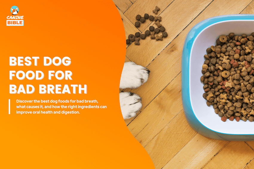 best dog foods for bad breath