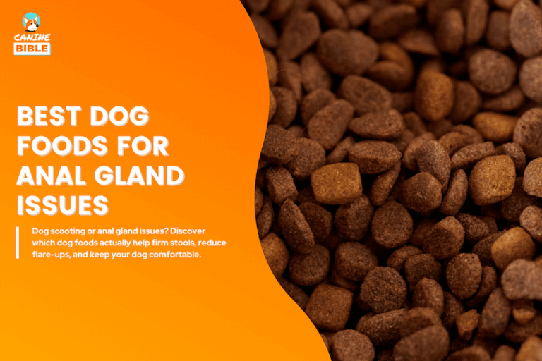 Best Foods for Dogs with Anal Gland Issues