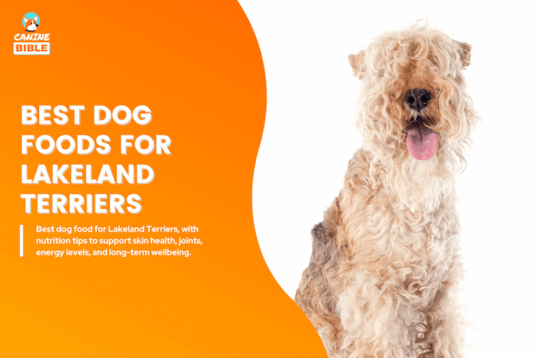 The 12 Best Dog Food for Lakeland Terriers 2026: Vet-Approved