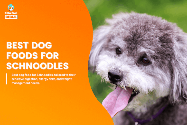 The 12 Best Dog Foods for Schnoodles 2026: Vet-Approved