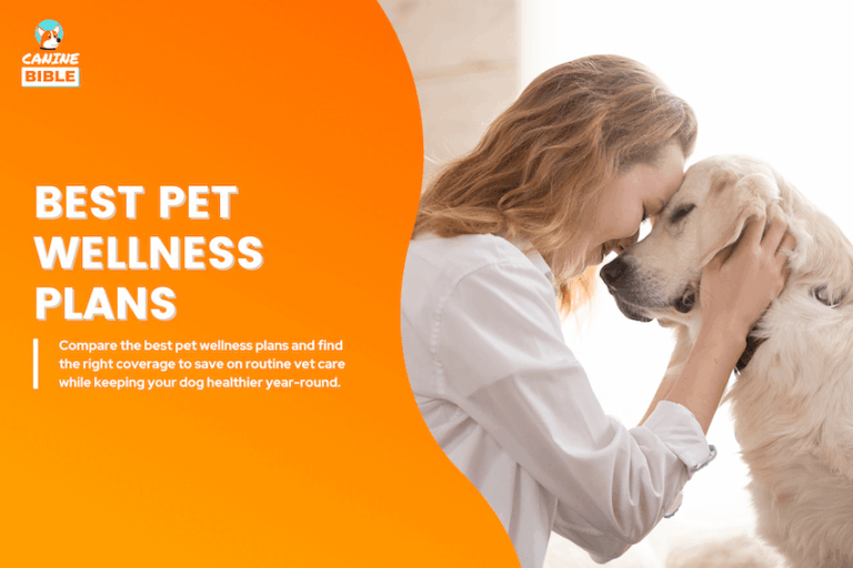 best pet wellness plans