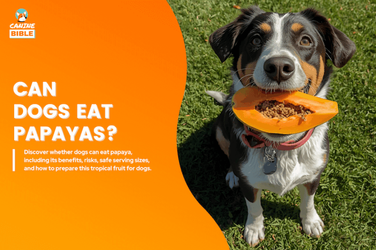 The Complete Guide to Dogs Eating Papayas: Safe or Toxic?