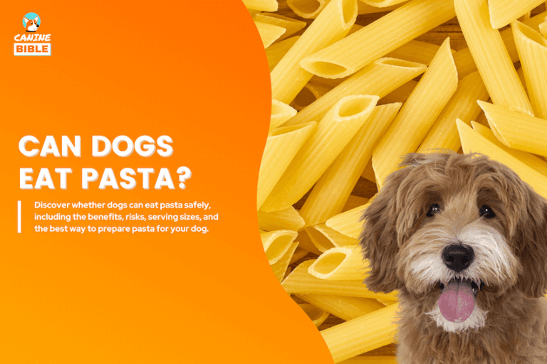 can dogs eat pasta