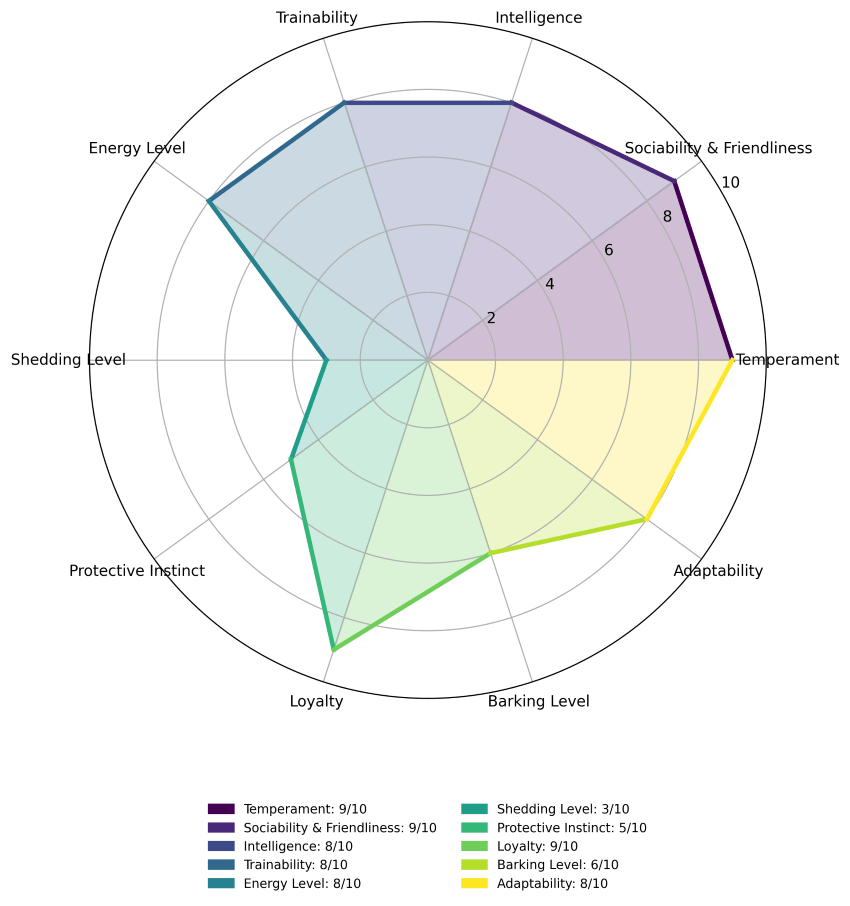 soft coated wheaten terrier traits