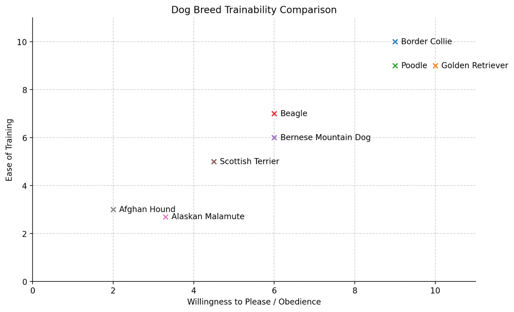 afghan hound trainability chart