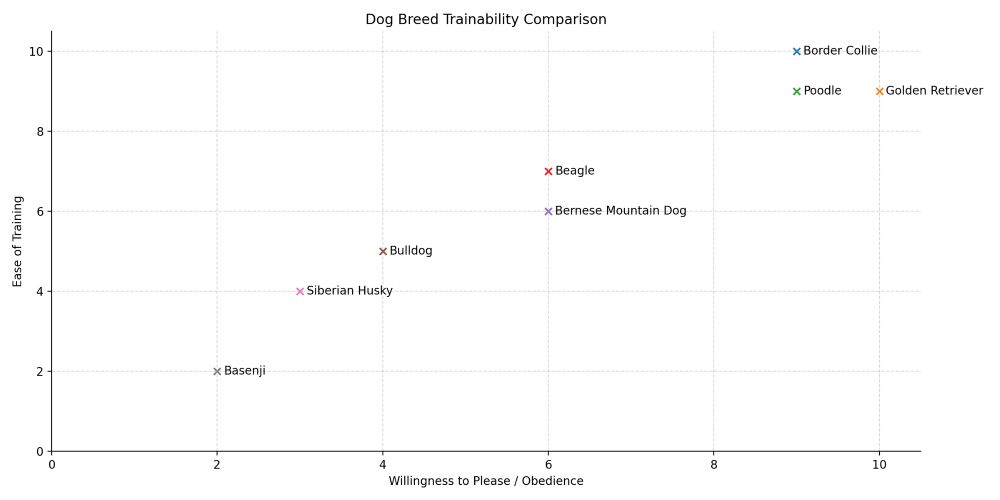 basenji trainability chart