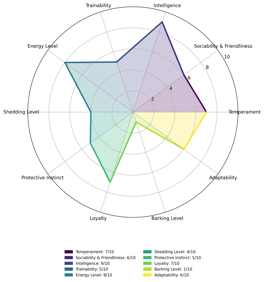 basenji traits