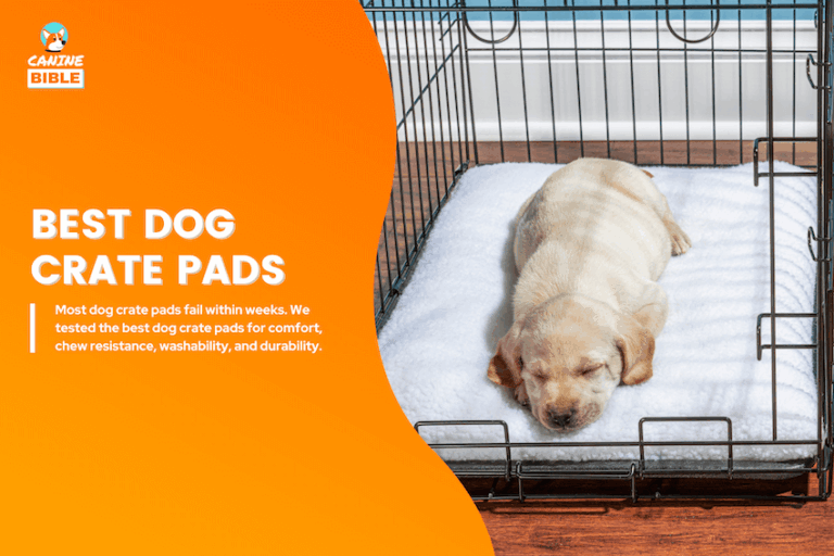 best dog crate pads