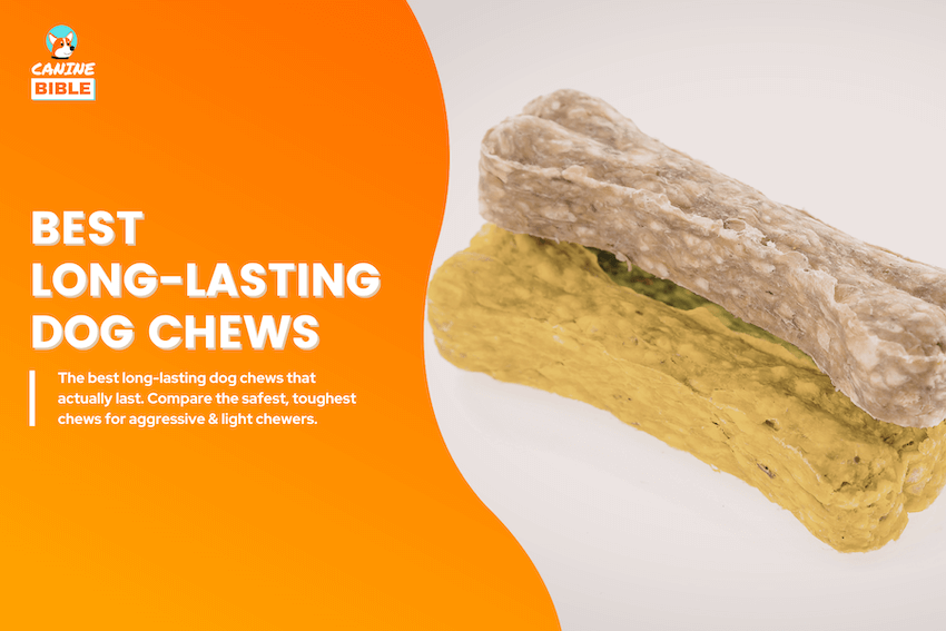 best long lasting dog chews