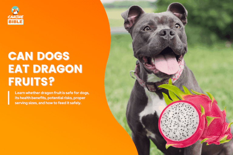 can dogs eat dragon fruits