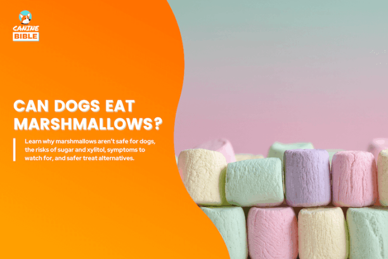 What Happens When Dogs Eat Marshmallows & What to Do