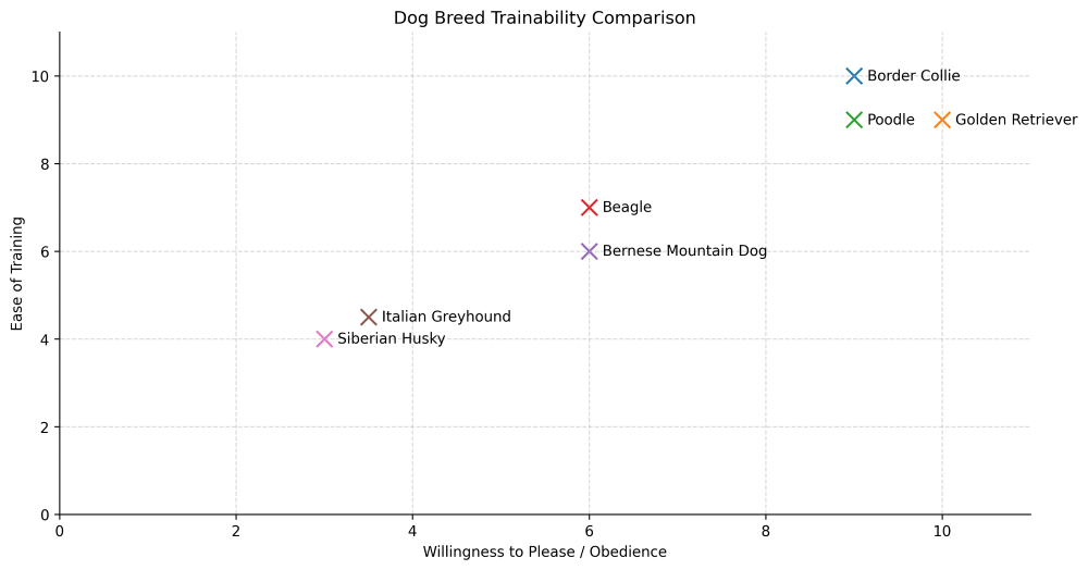 italian greyhound trainability chart