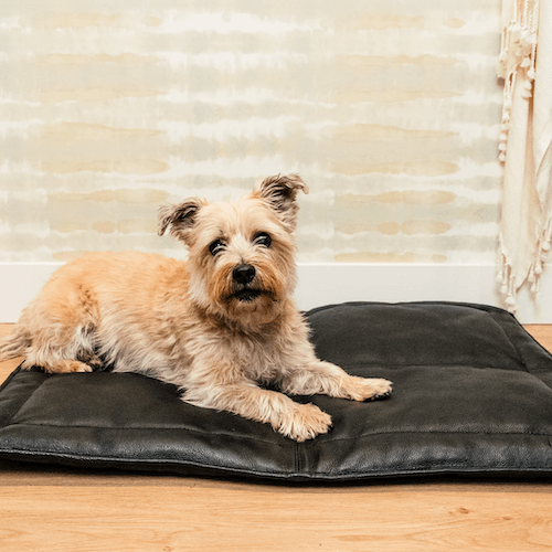 Le Dog Company Le Mat Portable Leather Dog Bed
