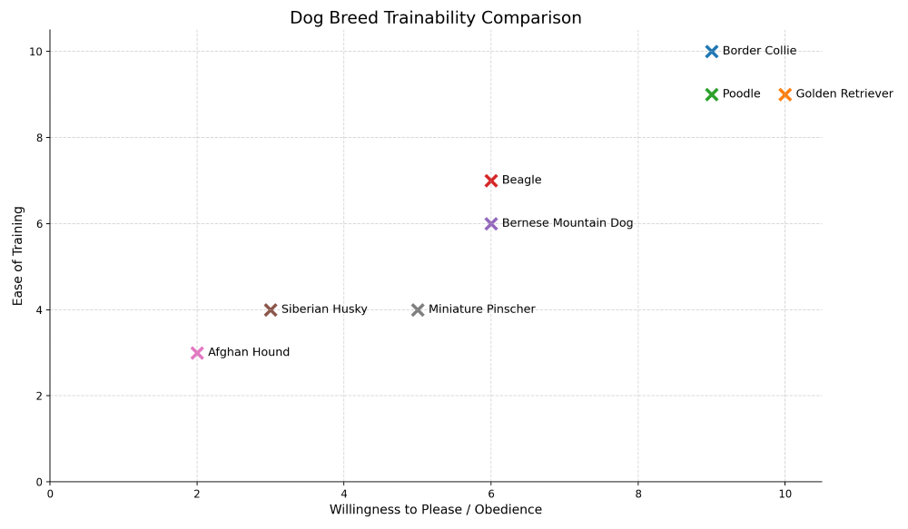 miniature pinscher trainability chart