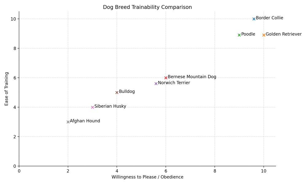 norwich terrier trainability chart