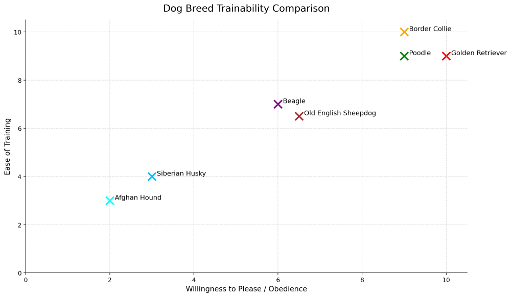 old english sheepdog trainability chart