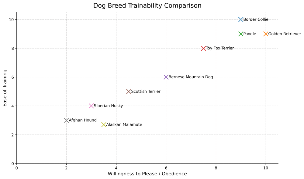 toy fox terrier trainability chart