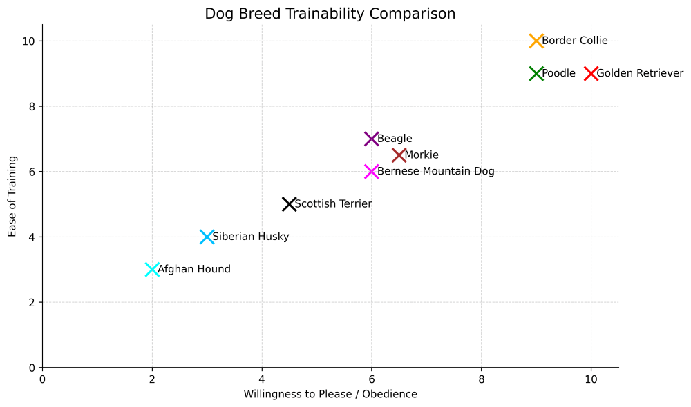 Morkie trainability chart