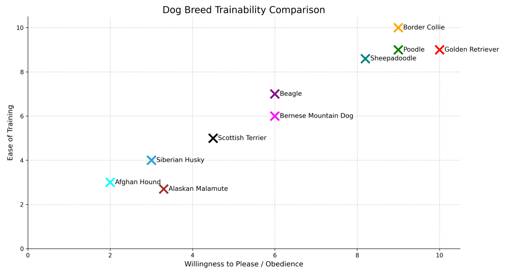 Sheepadoodle Trainability Chart