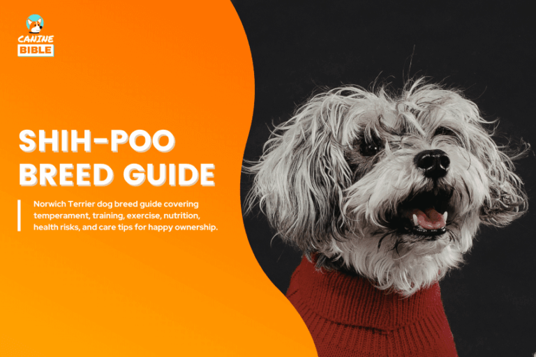 Shih-Poo