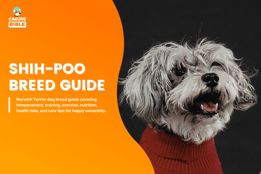 Shih-Poo