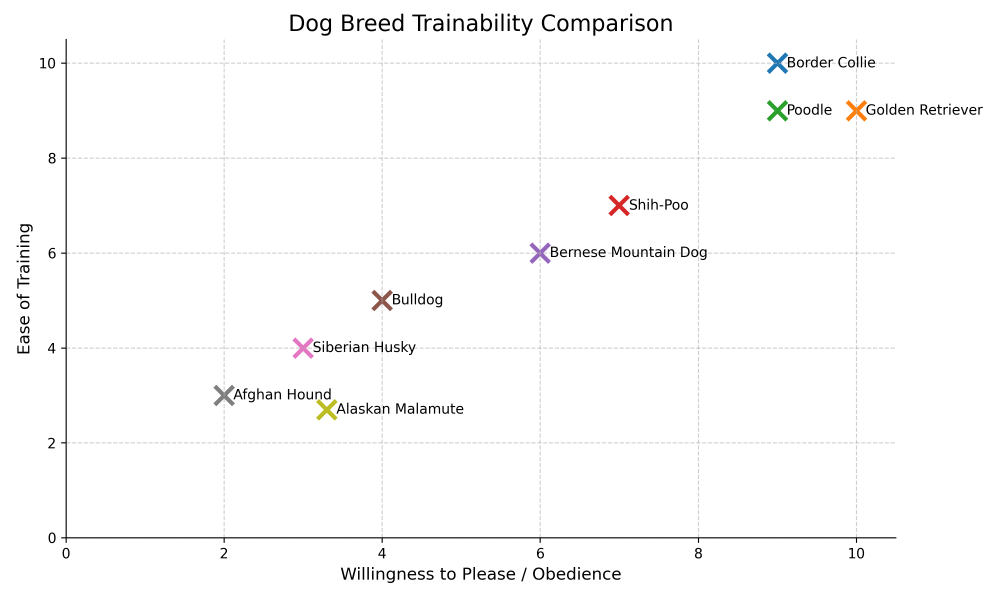 Shih-Poo Trainability Chart