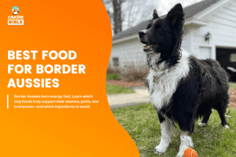 best dog food for Border Aussies