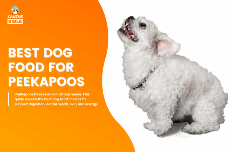 best dog food for Peekapoos