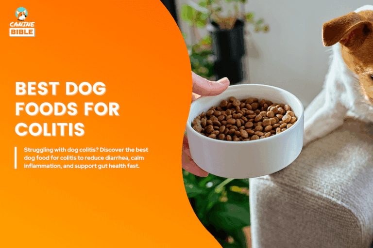best dog food for colitis