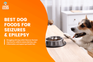 10 Best Dog Foods for Seizures & Epilepsy 2026: Vet-Approved - Canine Bible